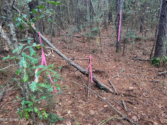 $112,400 | 0 Elarton Road, Osyka, MS 39657