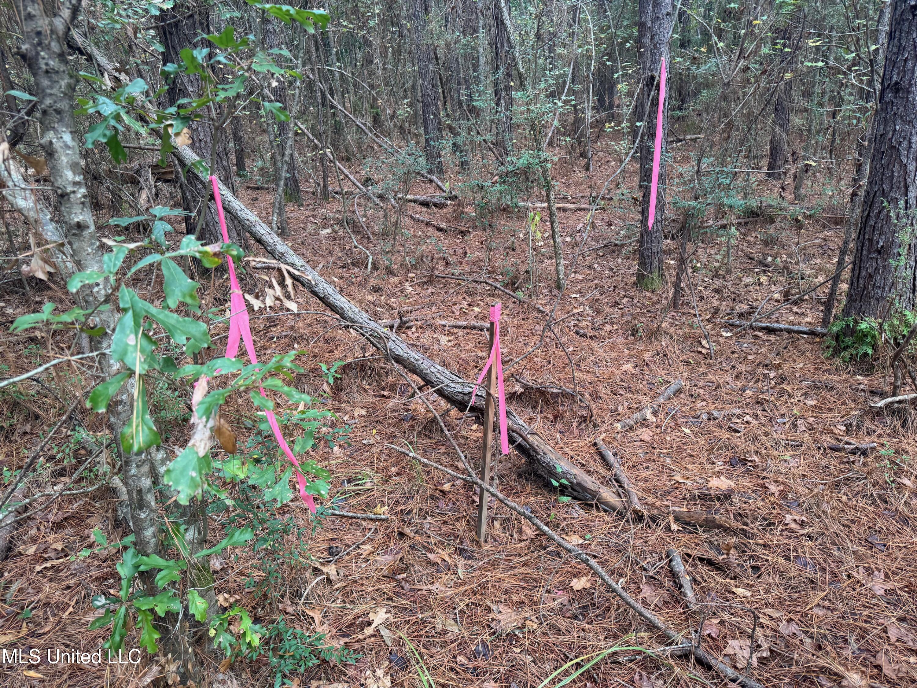 0 Elarton Road Magnolia, MS 39652 - Photo 21 of 23 Property corner