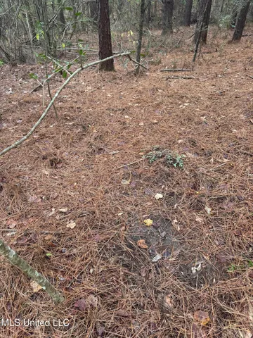 $112,400 | 0 Elarton Road, Osyka, MS 39657