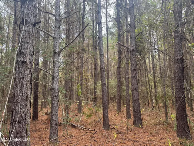 $112,400 | 0 Elarton Road, Osyka, MS 39657