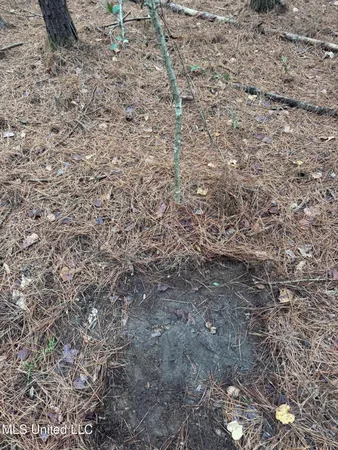 $112,400 | 0 Elarton Road, Magnolia, MS 39652