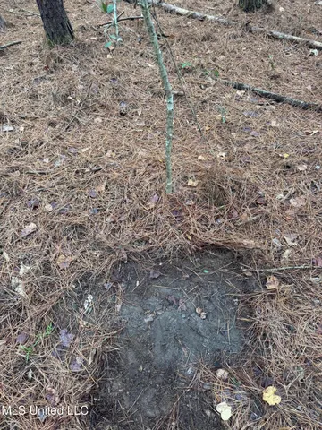 $112,400 | 0 Elarton Road, Osyka, MS 39657