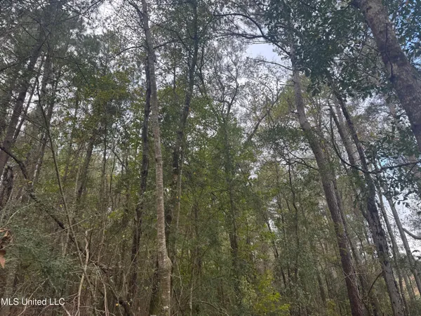 $112,400 | 0 Elarton Road, Magnolia, MS 39652