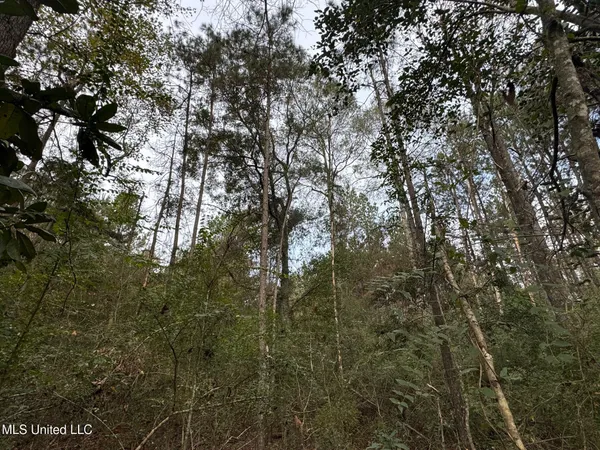$112,400 | 0 Elarton Road, Magnolia, MS 39652