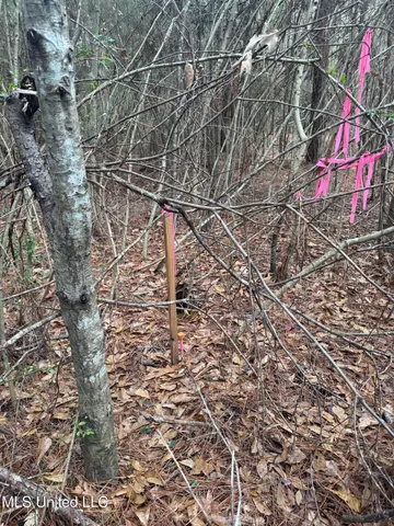 $112,400 | 0 Elarton Road, Osyka, MS 39657