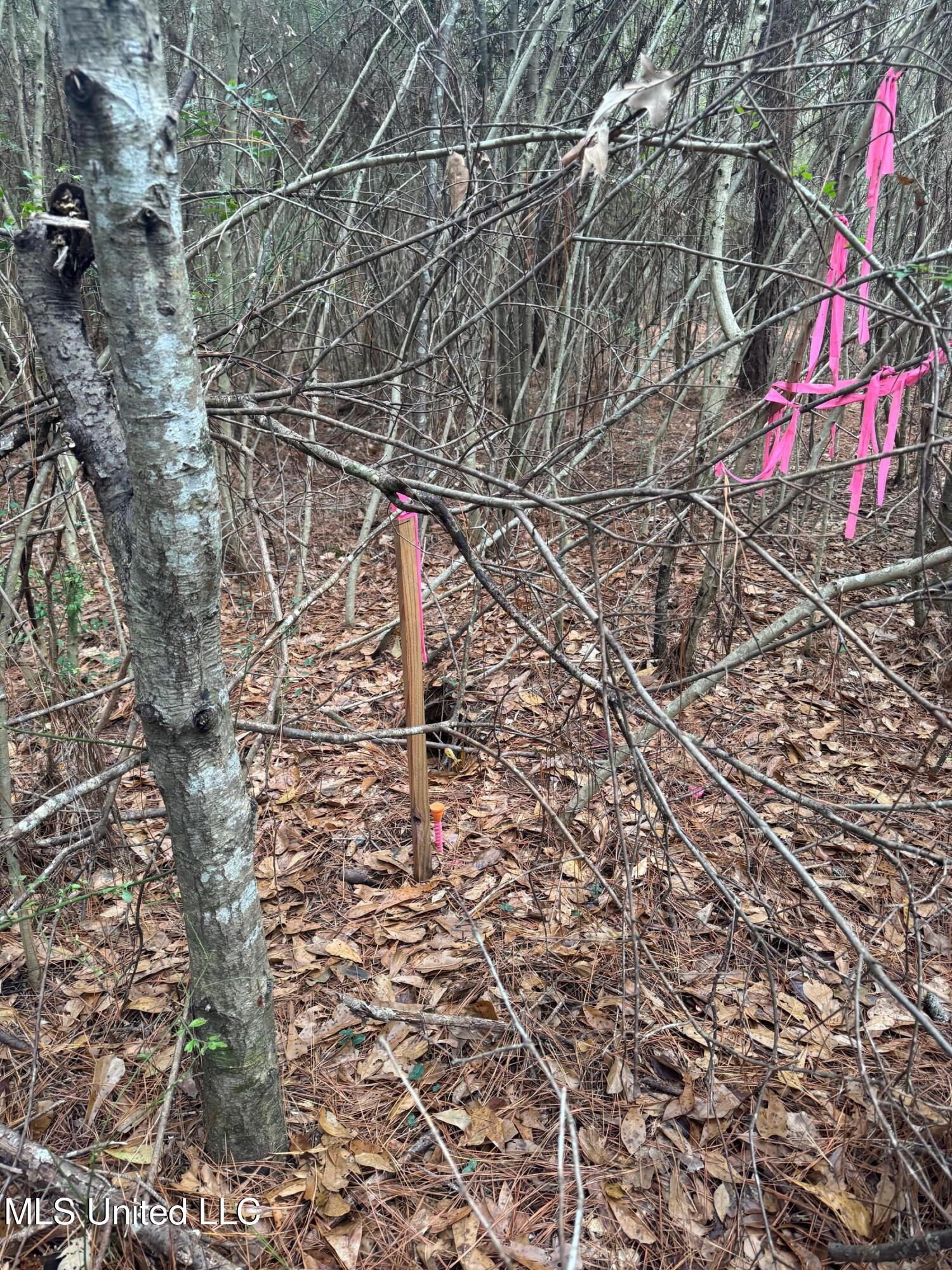 0 Elarton Road Magnolia, MS 39652 - Photo 9 of 23 60' corner 2