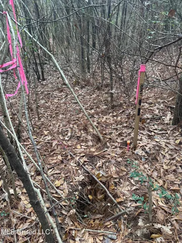 $112,400 | 0 Elarton Road, Osyka, MS 39657