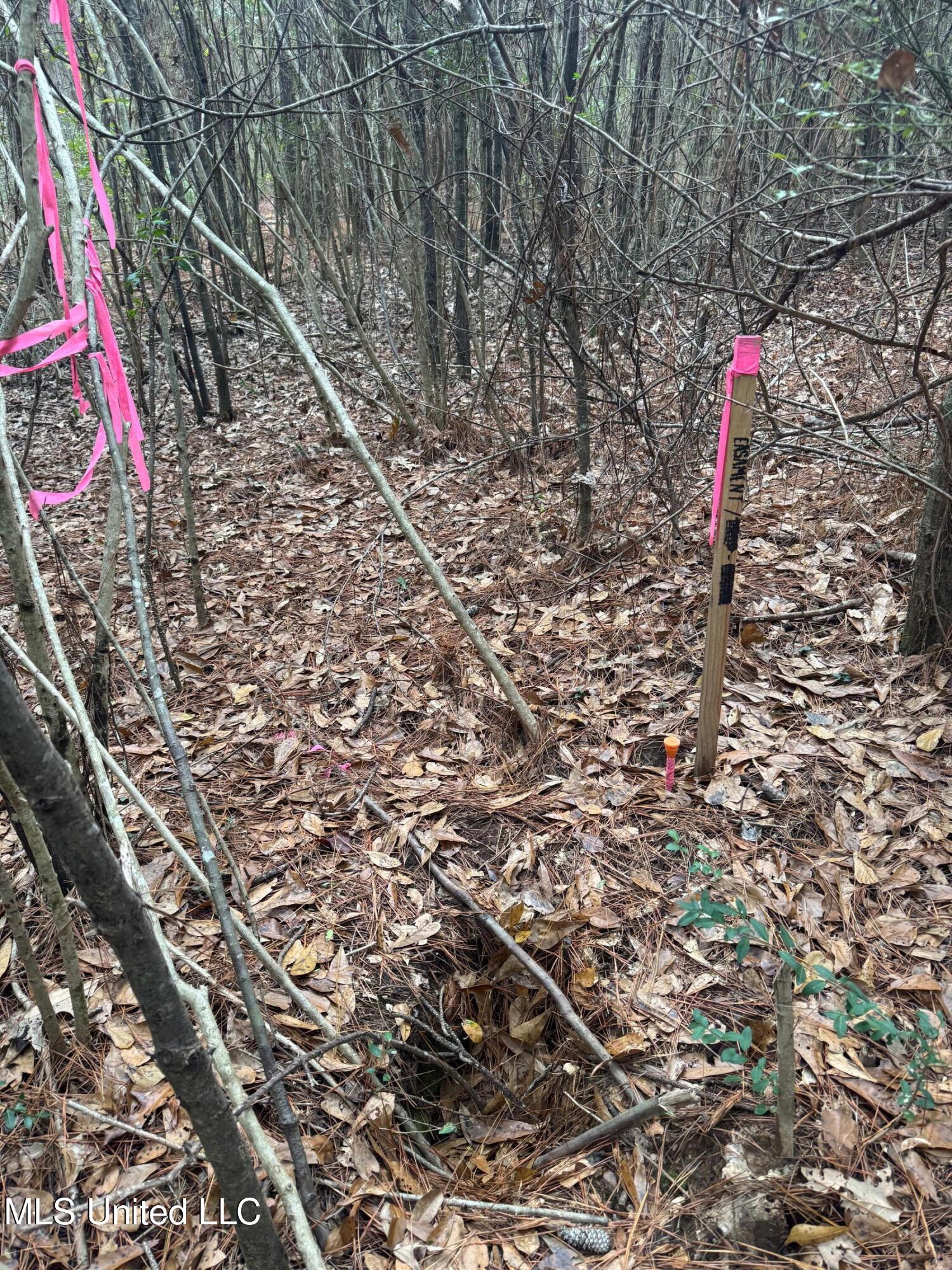 0 Elarton Road Magnolia, MS 39652 - Photo 10 of 23 60' corner 1