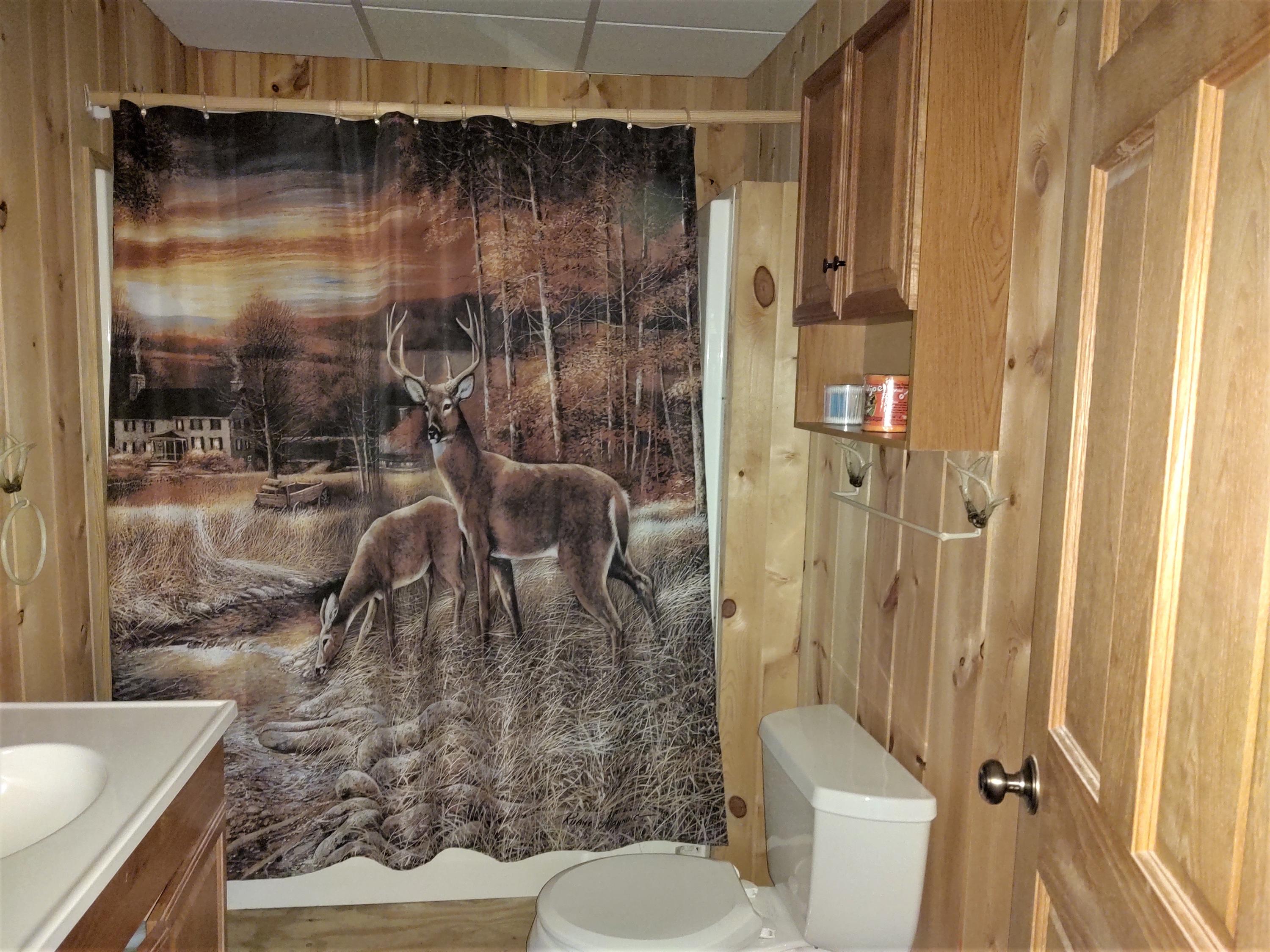 1626 Jacks Landing Road Hillman, MI 49746 - Photo 12 of 34 Gallery Image 12