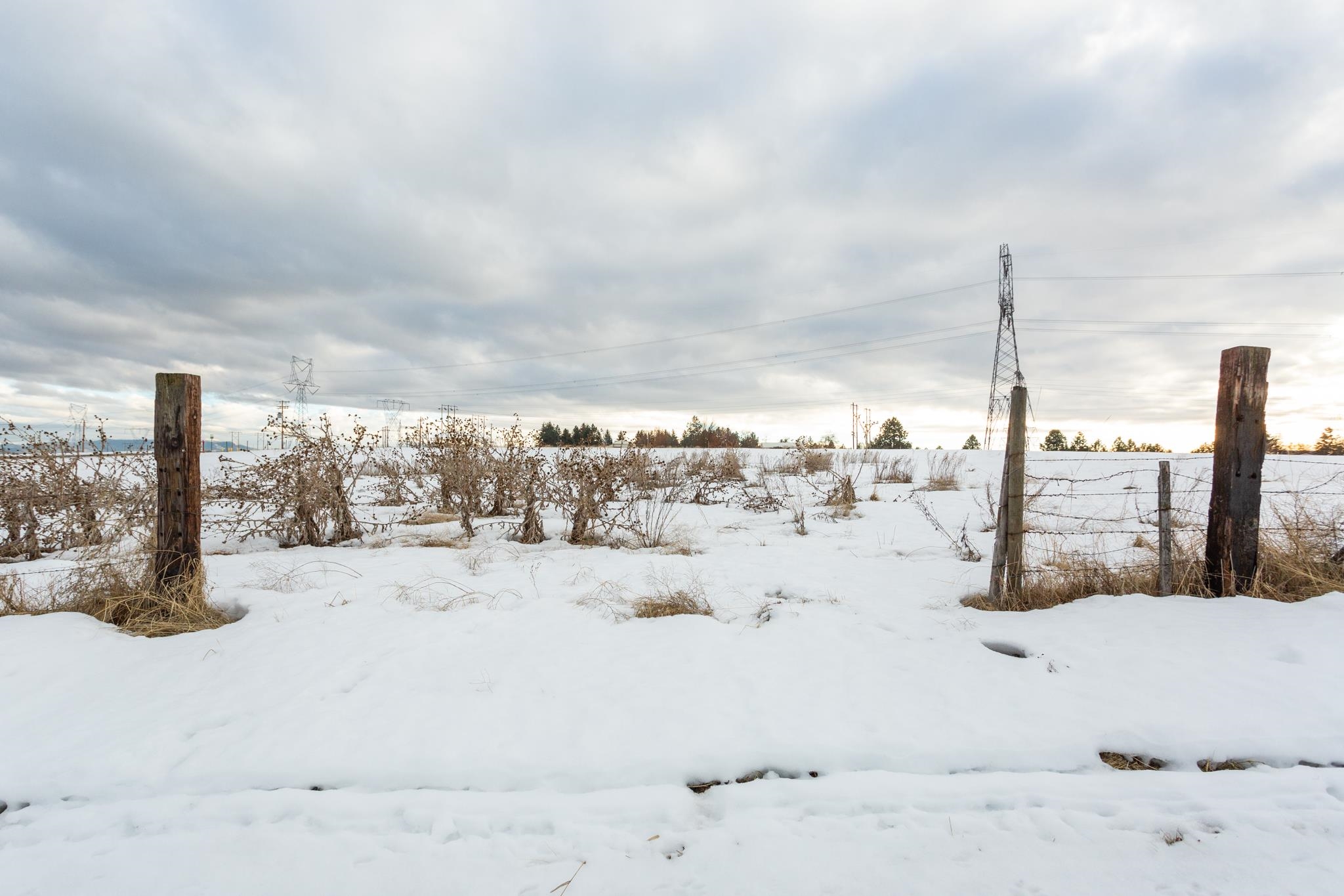 8505 North Lehman Road Spokane, WA 99217 - Photo 18 of 28