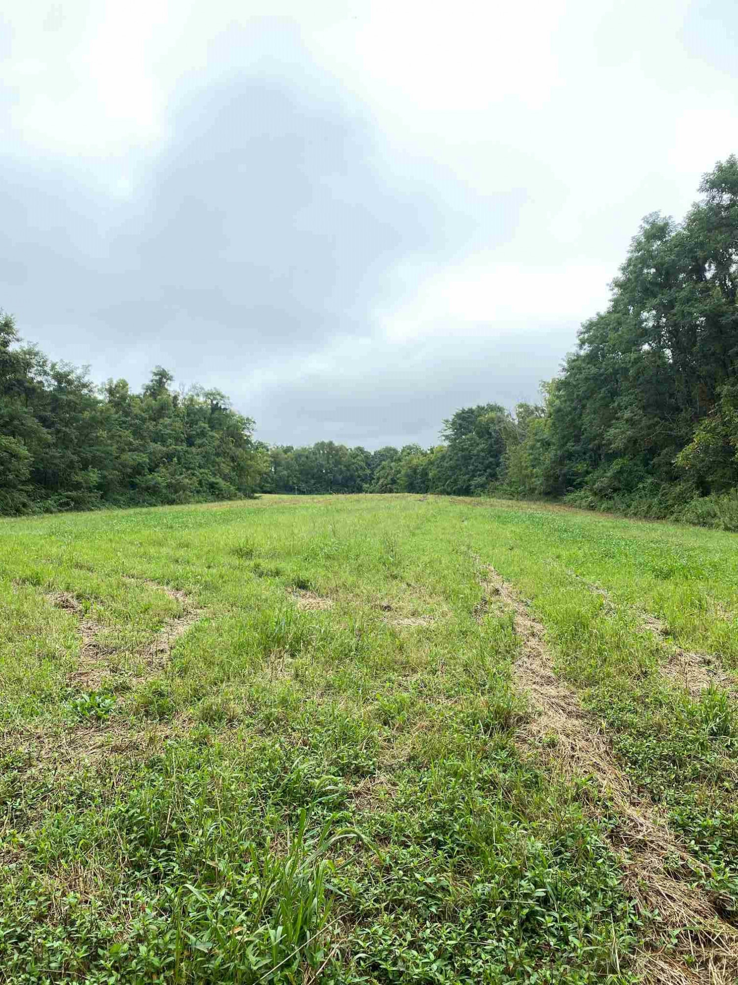 3 Baton Rouge Road Williamstown, KY 41097 - Photo 19 of 25
