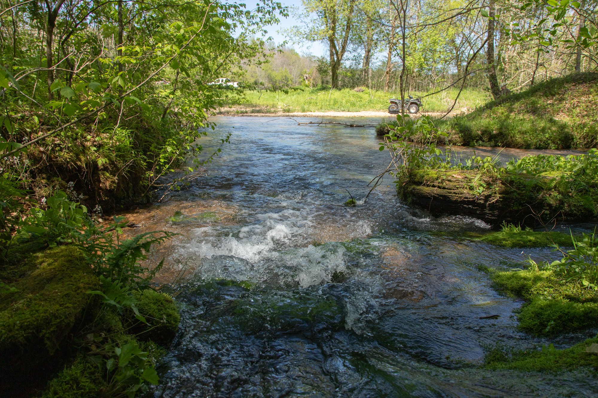 7262 Sinking Creek Road Linden, TN 37096 - Photo 2 of 37 Gallery Image 2