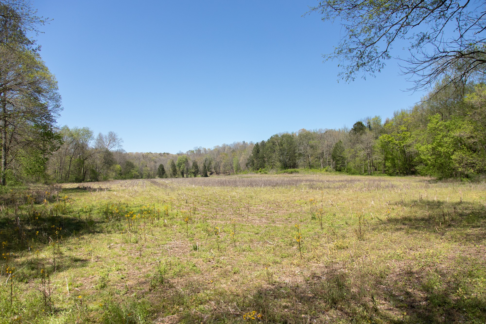 7262 Sinking Creek Road Linden, TN 37096 - Photo 12 of 37 Gallery Image 12