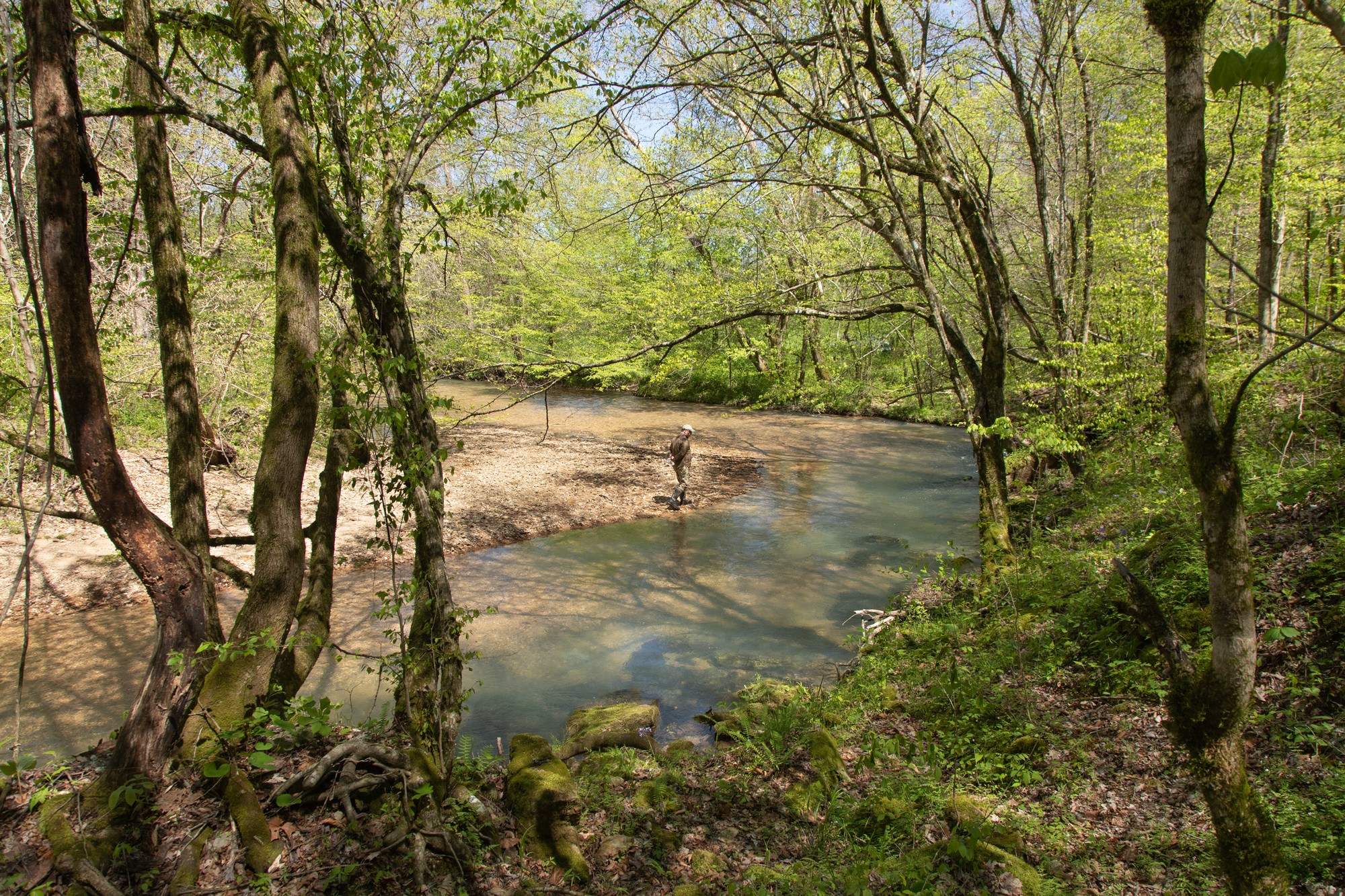 7262 Sinking Creek Road Linden, TN 37096 - Photo 13 of 37 Gallery Image 13