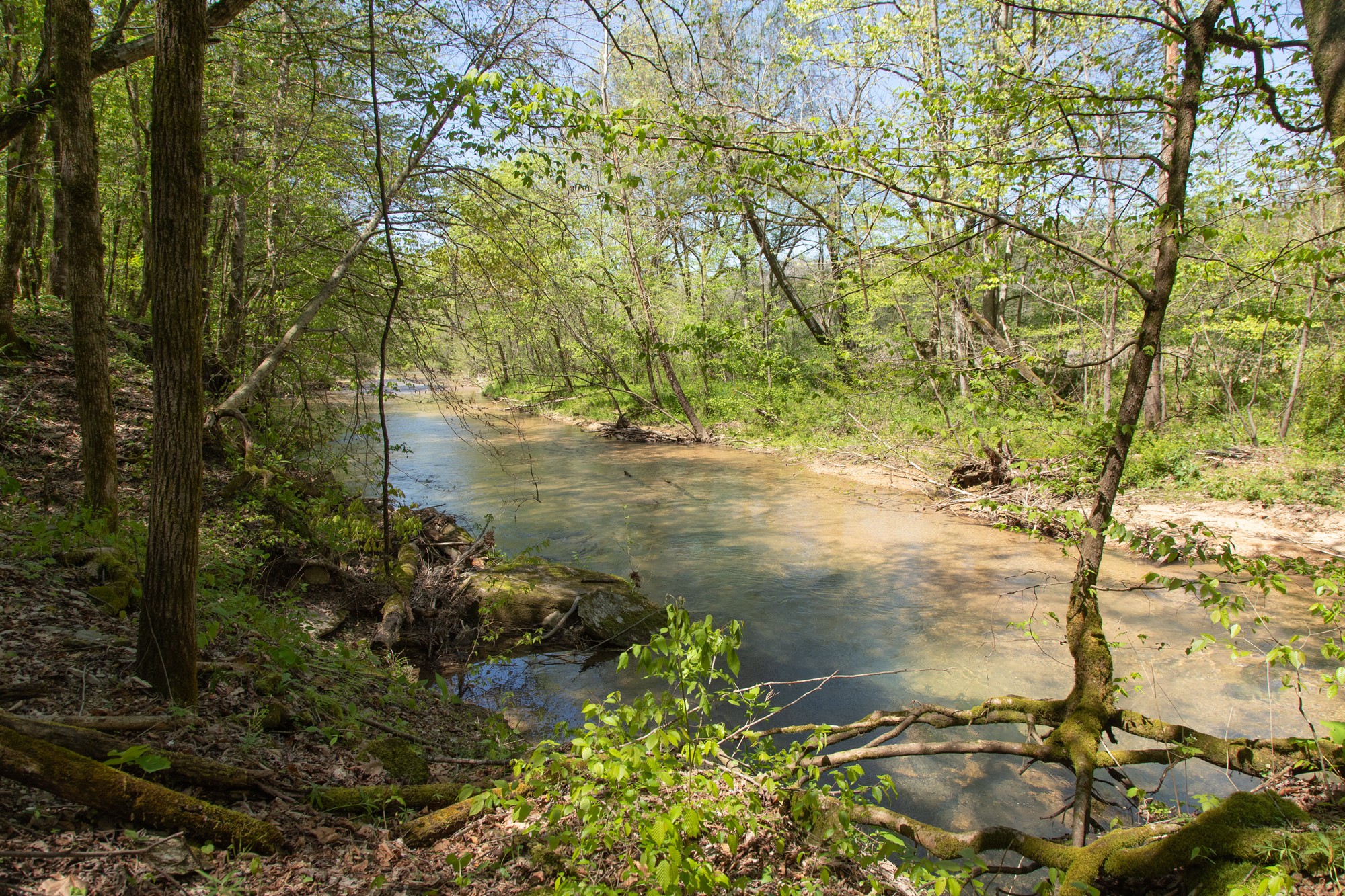 7262 Sinking Creek Road Linden, TN 37096 - Photo 14 of 37 Gallery Image 14