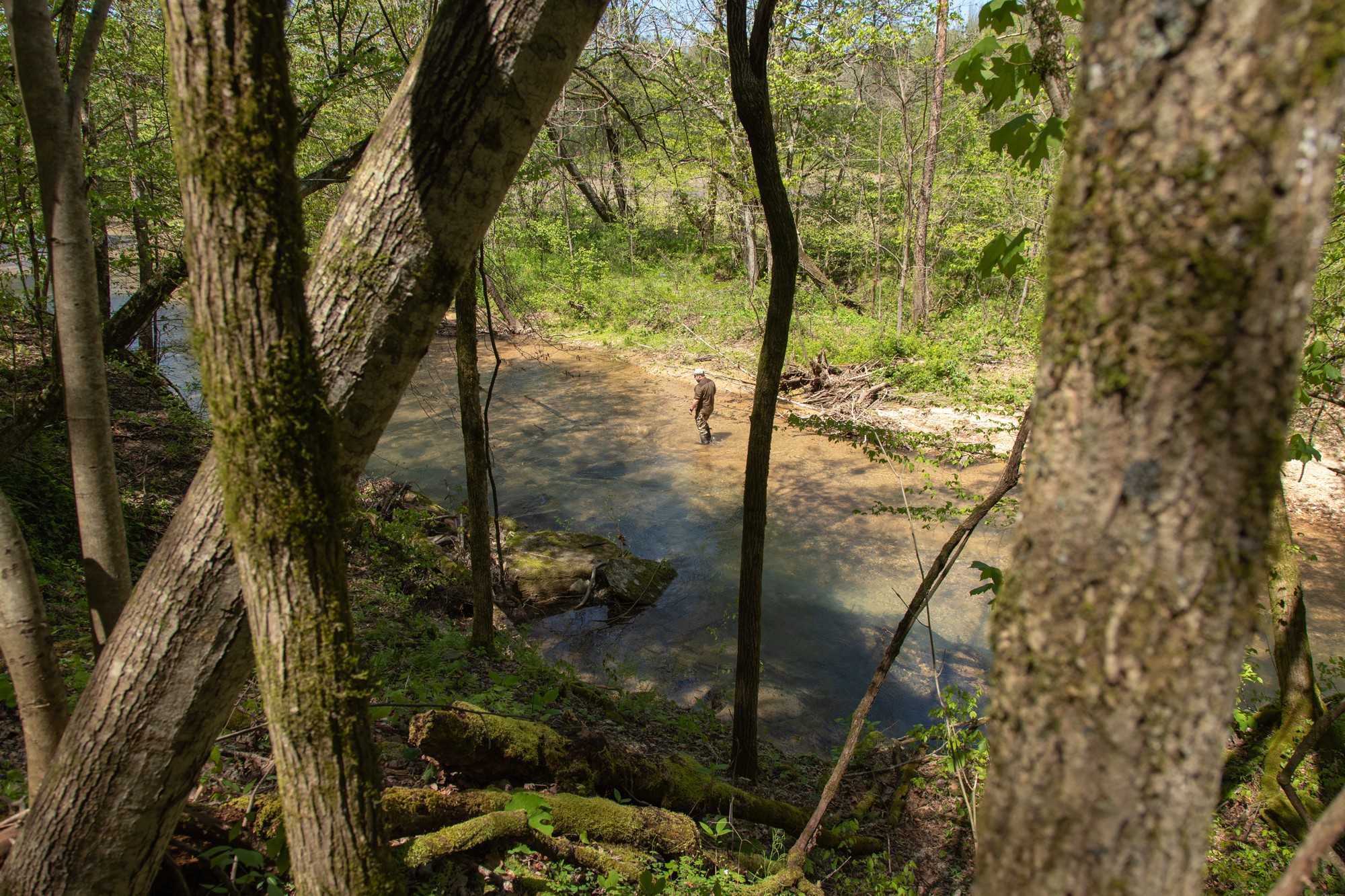 7262 Sinking Creek Road Linden, TN 37096 - Photo 15 of 37 Gallery Image 15