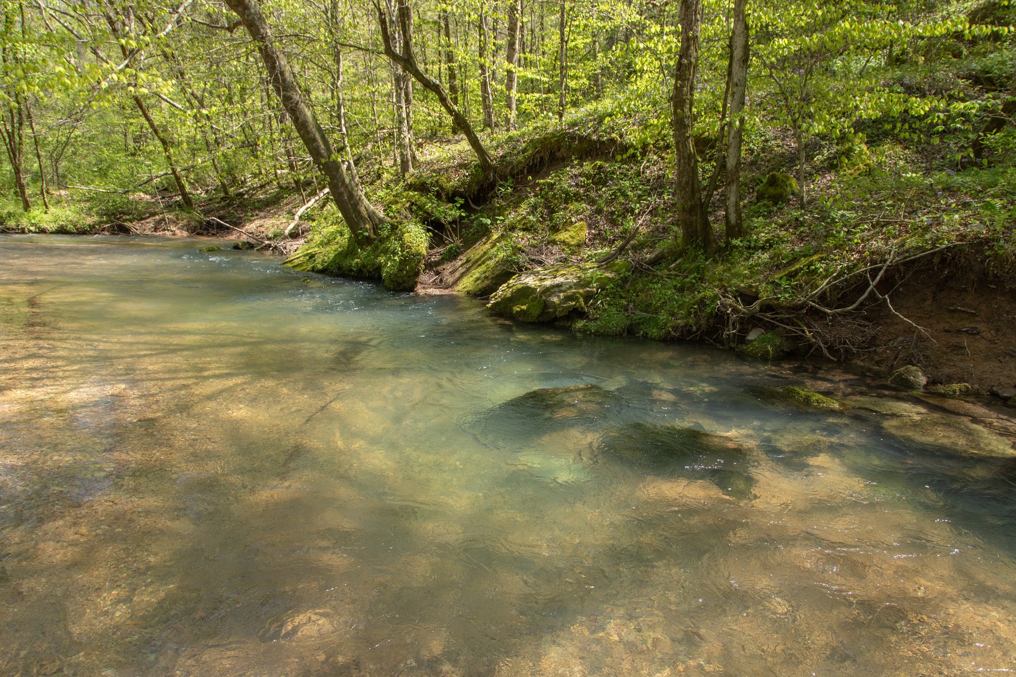 7262 Sinking Creek Road Linden, TN 37096 - Photo 17 of 37 Gallery Image 17