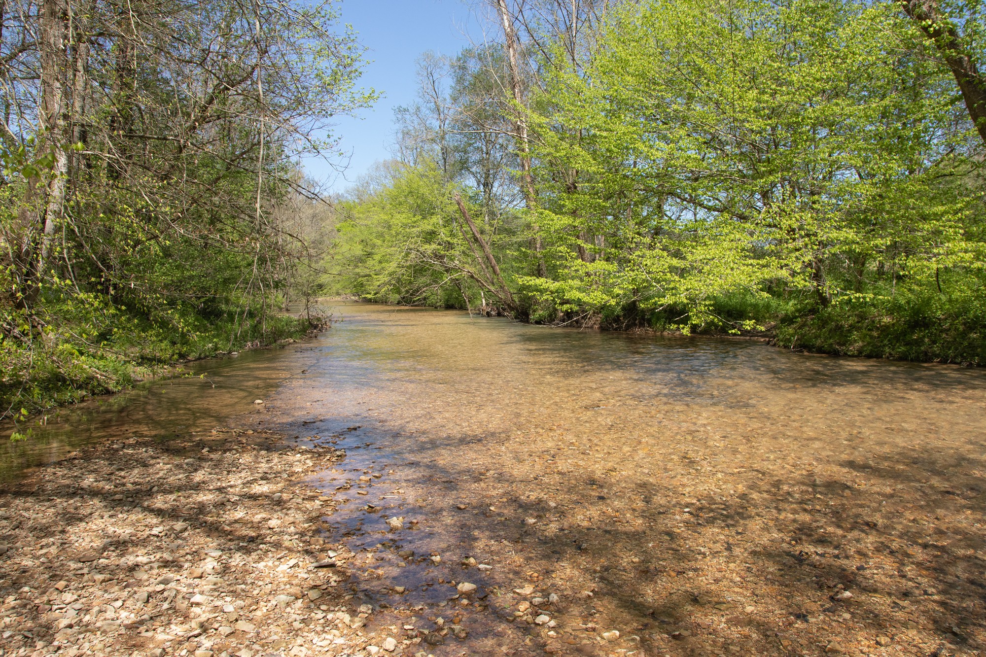 7262 Sinking Creek Road Linden, TN 37096 - Photo 20 of 37 Gallery Image 20