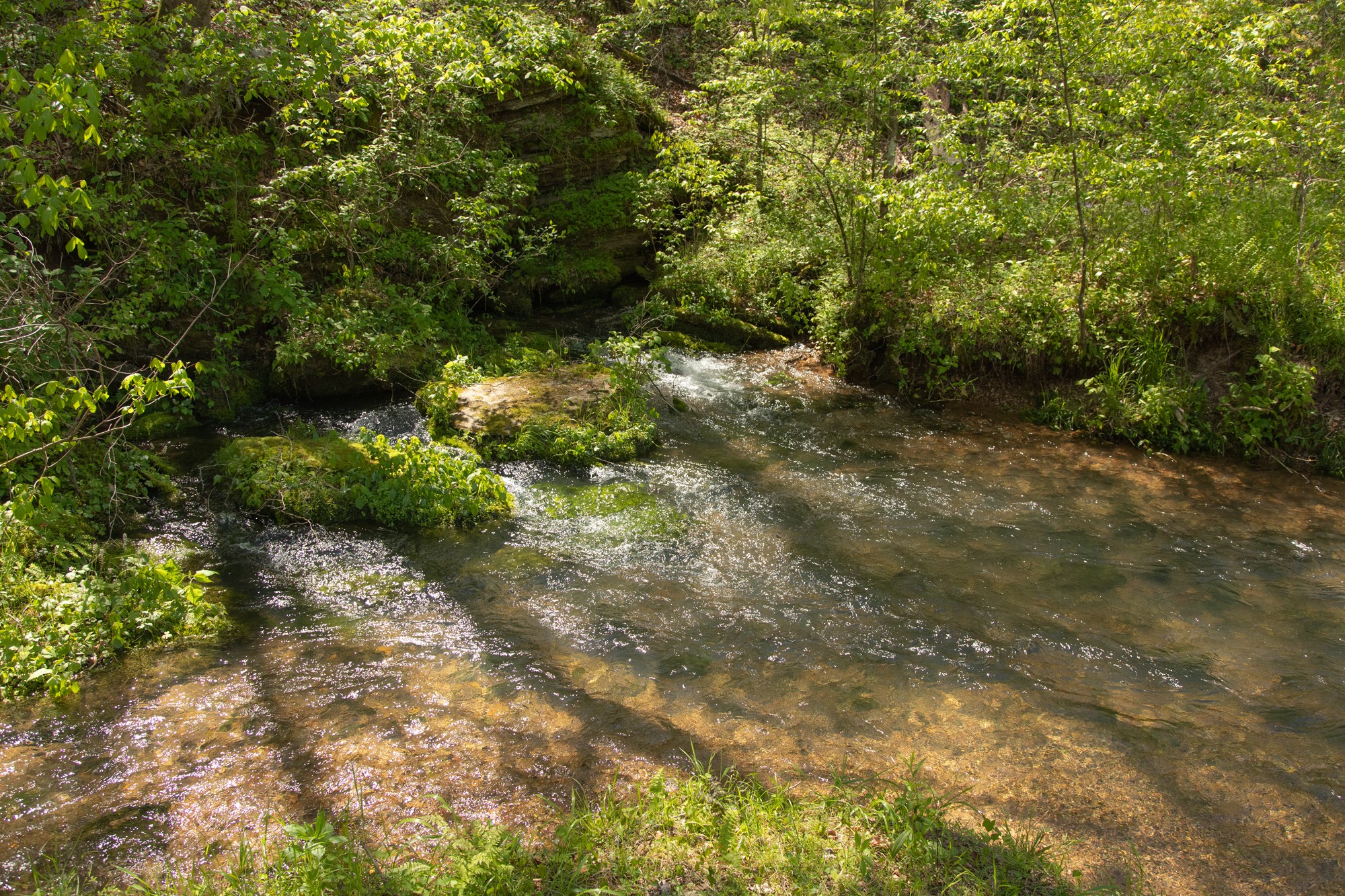 7262 Sinking Creek Road Linden, TN 37096 - Photo 21 of 37 Gallery Image 21