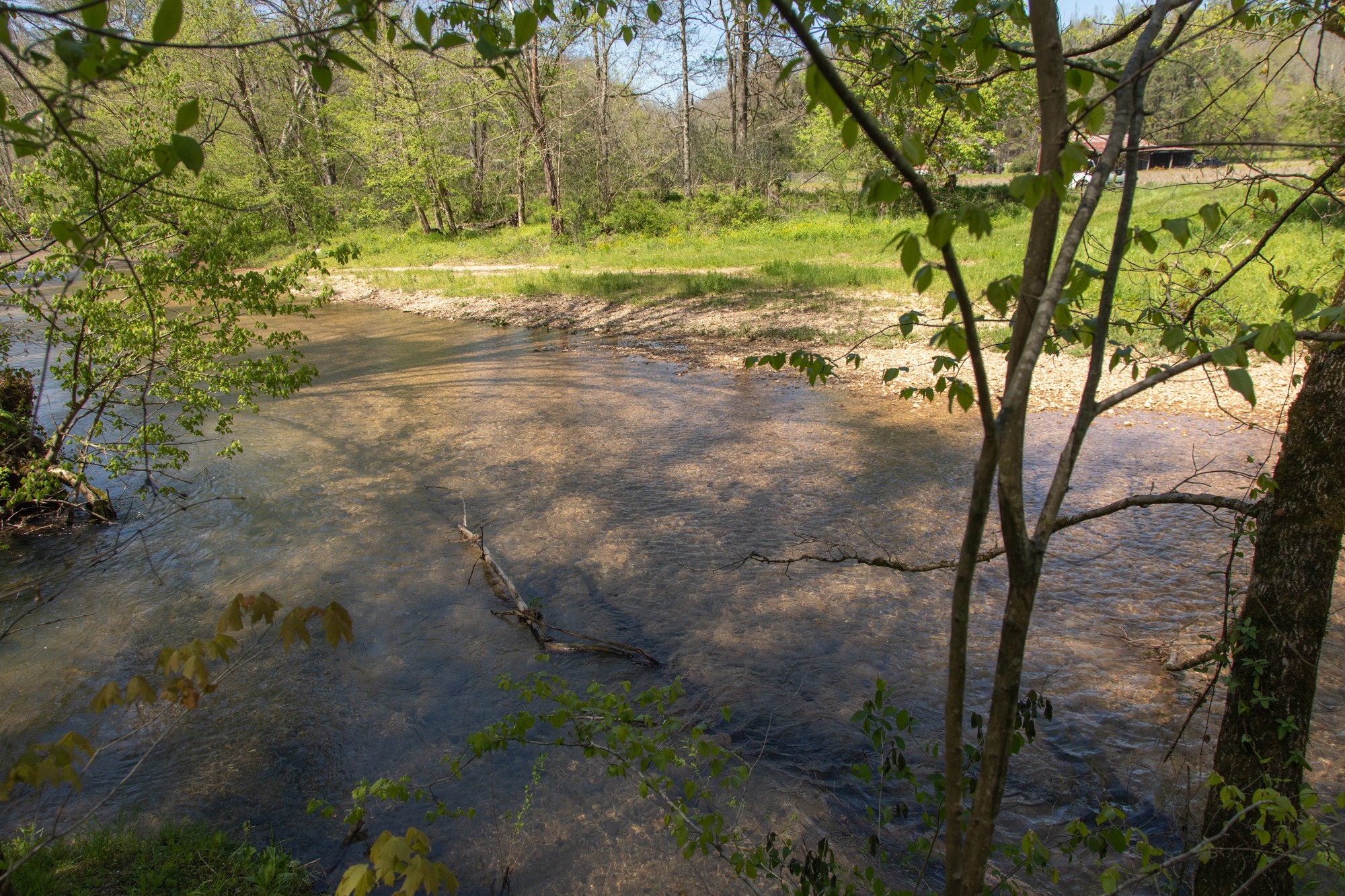 7262 Sinking Creek Road Linden, TN 37096 - Photo 22 of 37 Gallery Image 22