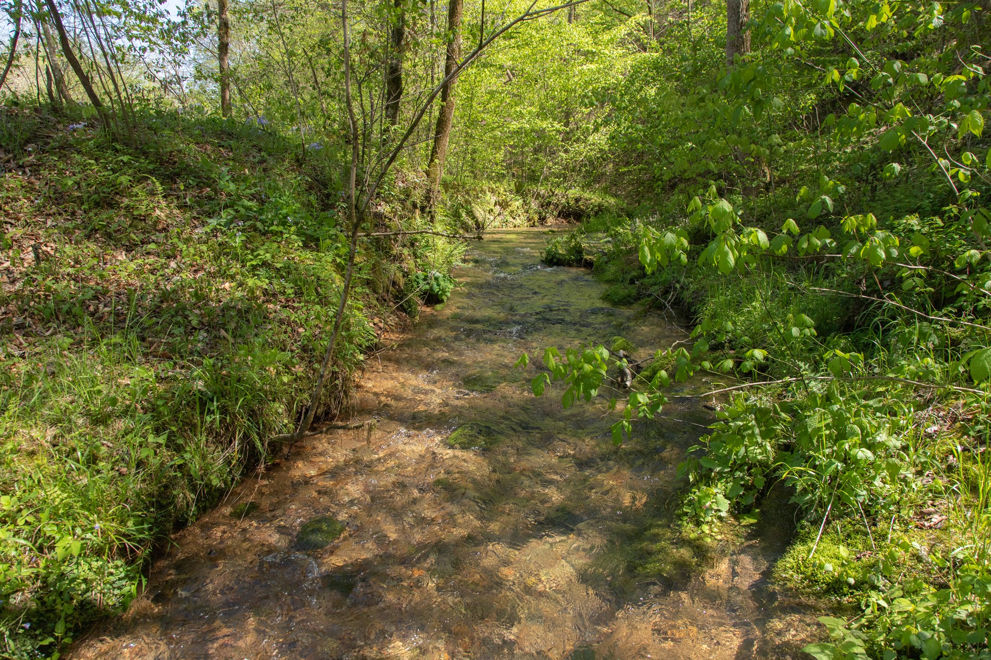 7262 Sinking Creek Road Linden, TN 37096 - Photo 23 of 37 Gallery Image 23