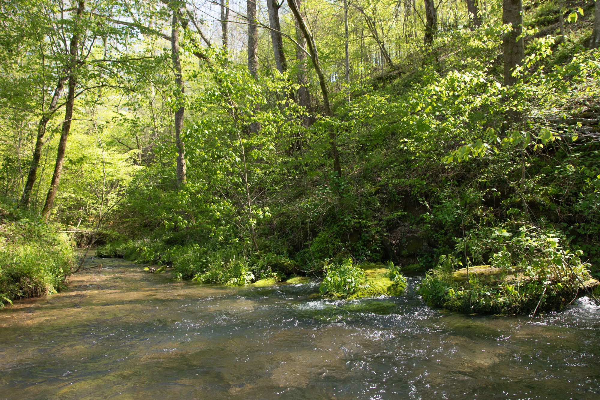 7262 Sinking Creek Road Linden, TN 37096 - Photo 28 of 37 Gallery Image 28