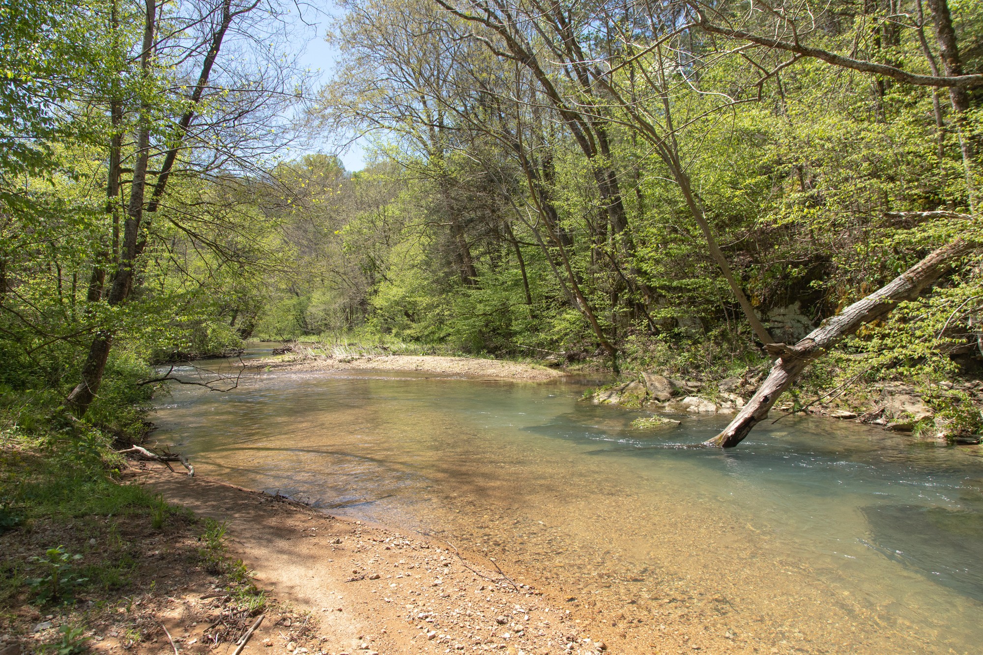 7262 Sinking Creek Road Linden, TN 37096 - Photo 4 of 37 Gallery Image 4