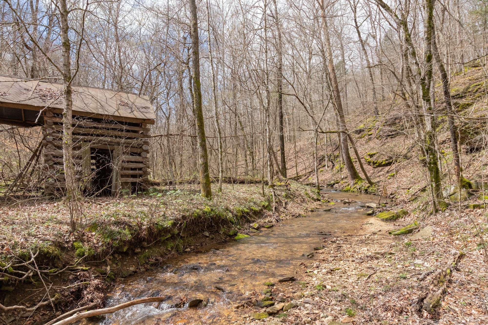 7262 Sinking Creek Road Linden, TN 37096 - Photo 34 of 37 Gallery Image 34