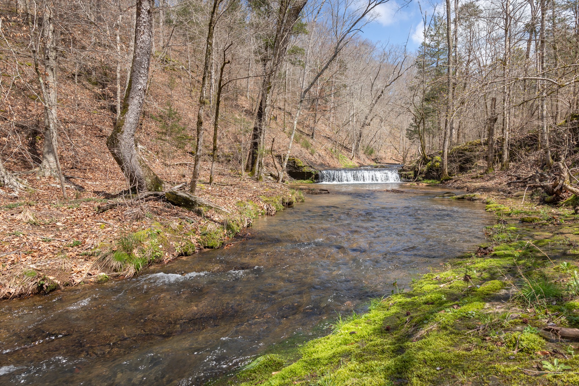 7262 Sinking Creek Road Linden, TN 37096 - Photo 35 of 37 Gallery Image 35