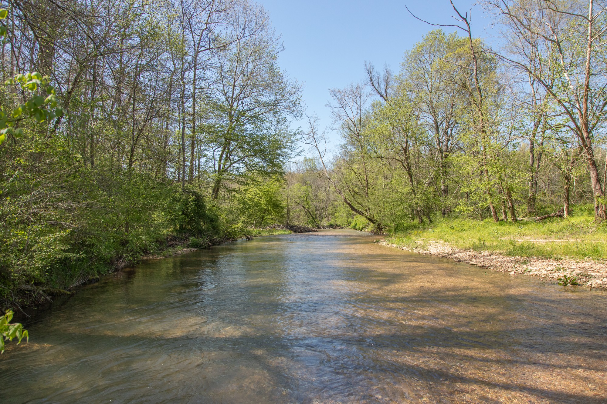 7262 Sinking Creek Road Linden, TN 37096 - Photo 36 of 37 Gallery Image 36