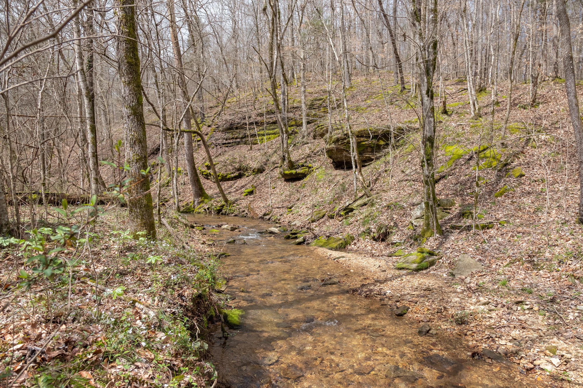 7262 Sinking Creek Road Linden, TN 37096 - Photo 37 of 37 Gallery Image 37
