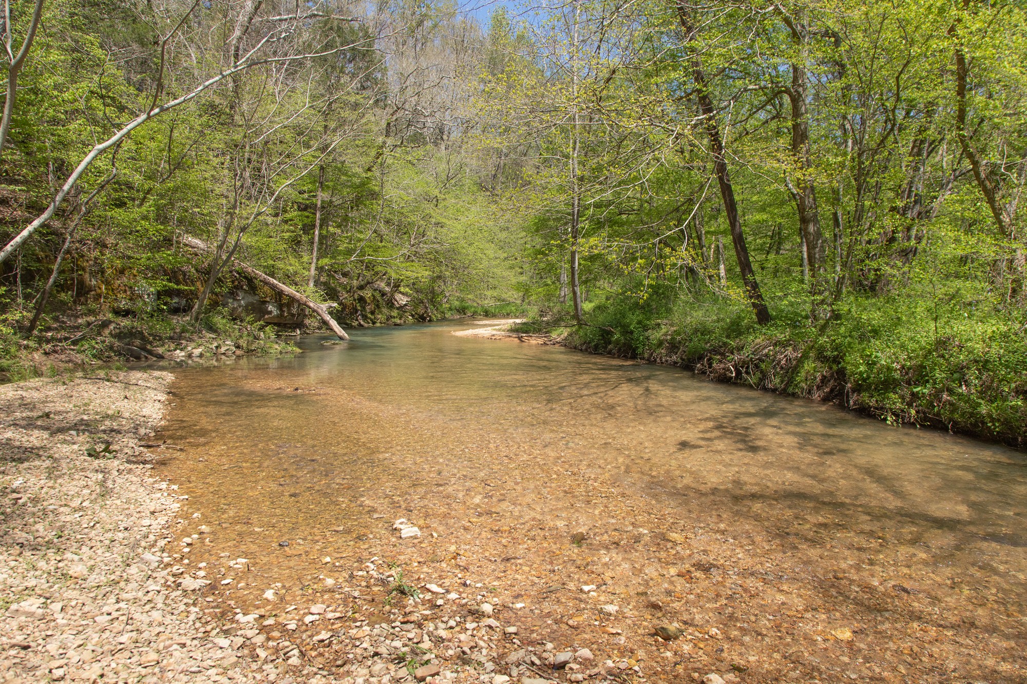 7262 Sinking Creek Road Linden, TN 37096 - Photo 5 of 37 Gallery Image 5