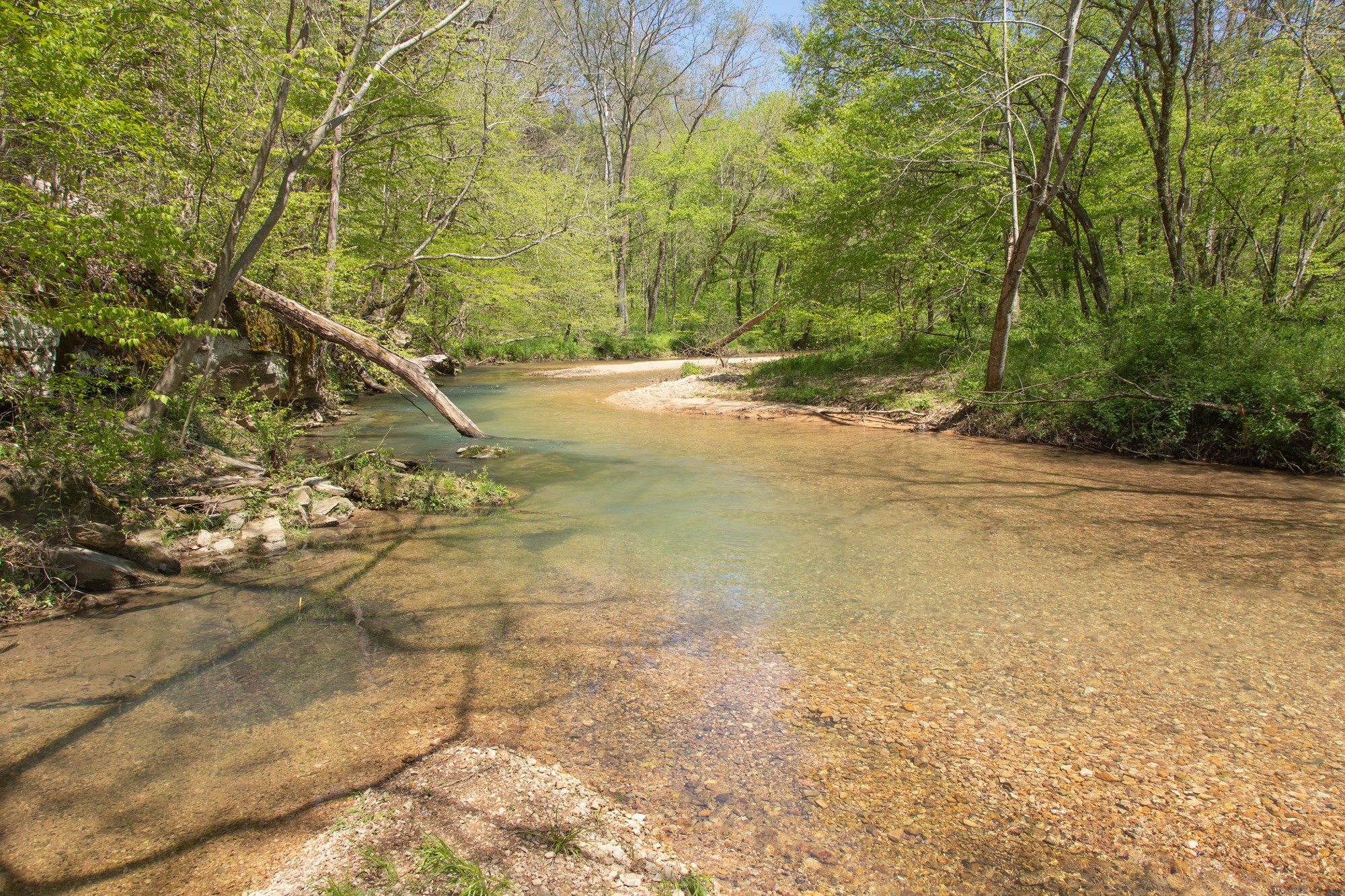 7262 Sinking Creek Road Linden, TN 37096 - Photo 6 of 37 Gallery Image 6