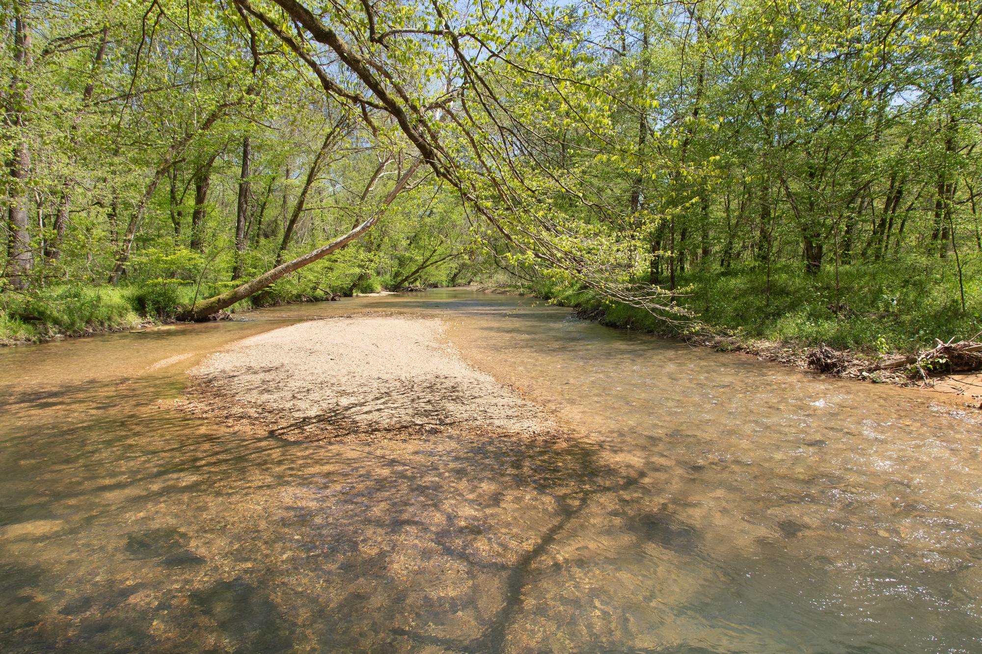 7262 Sinking Creek Road Linden, TN 37096 - Photo 8 of 37 Gallery Image 8