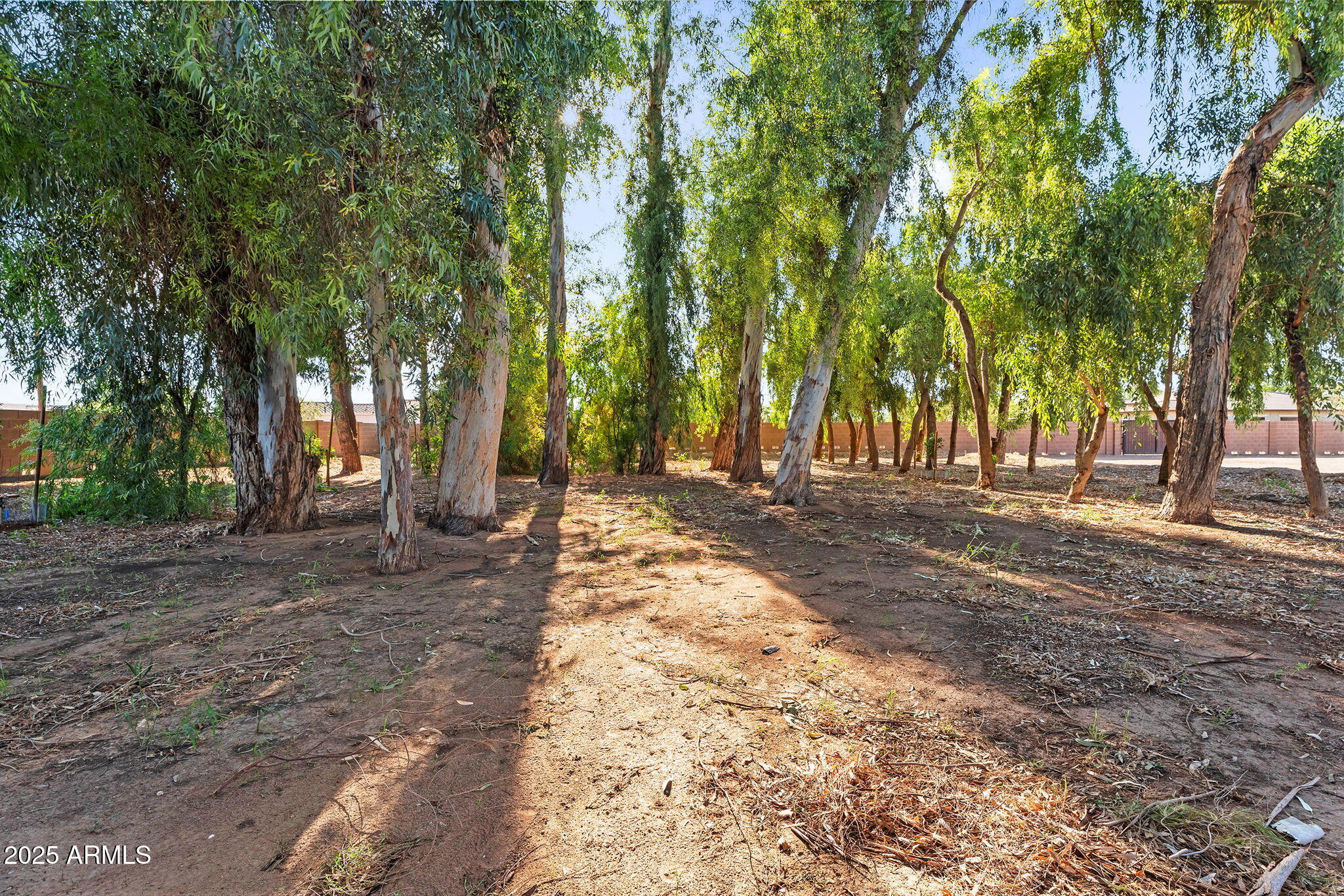 13013 East Brooks Farm Road Gilbert, AZ 85298 - Photo 36 of 74 63-web-or-mls-Brooks-52