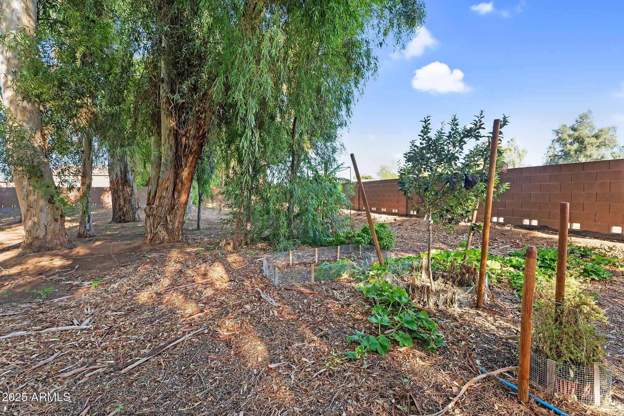 13013 East Brooks Farm Road Gilbert, AZ 85298 - Photo 37 of 74 65-web-or-mls-Brooks-54