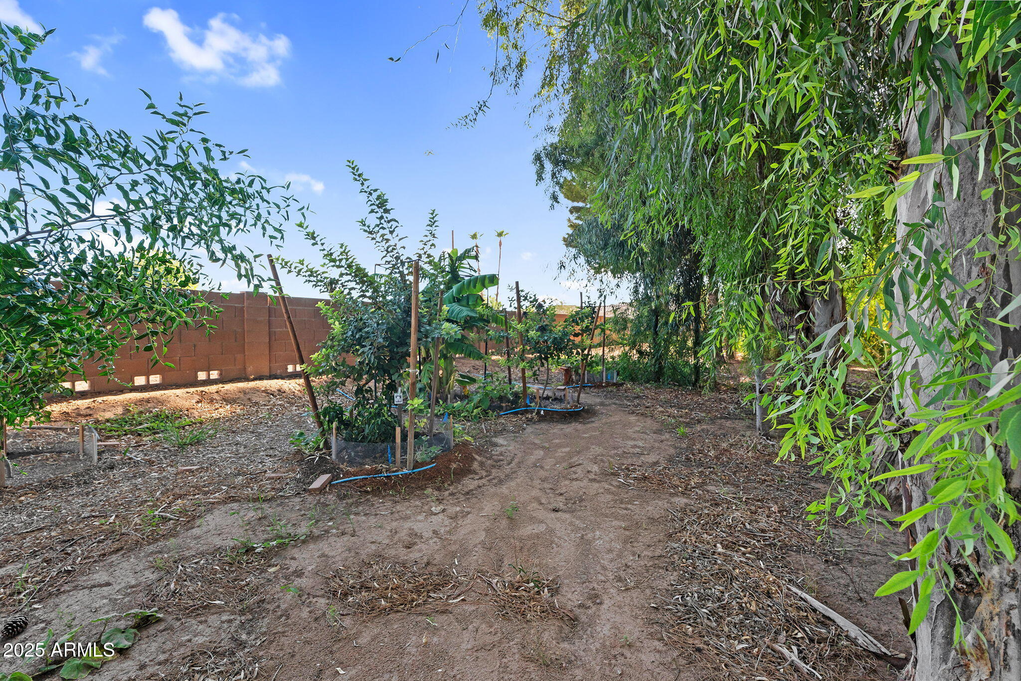 13013 East Brooks Farm Road Gilbert, AZ 85298 - Photo 38 of 74 66-web-or-mls-Brooks-55