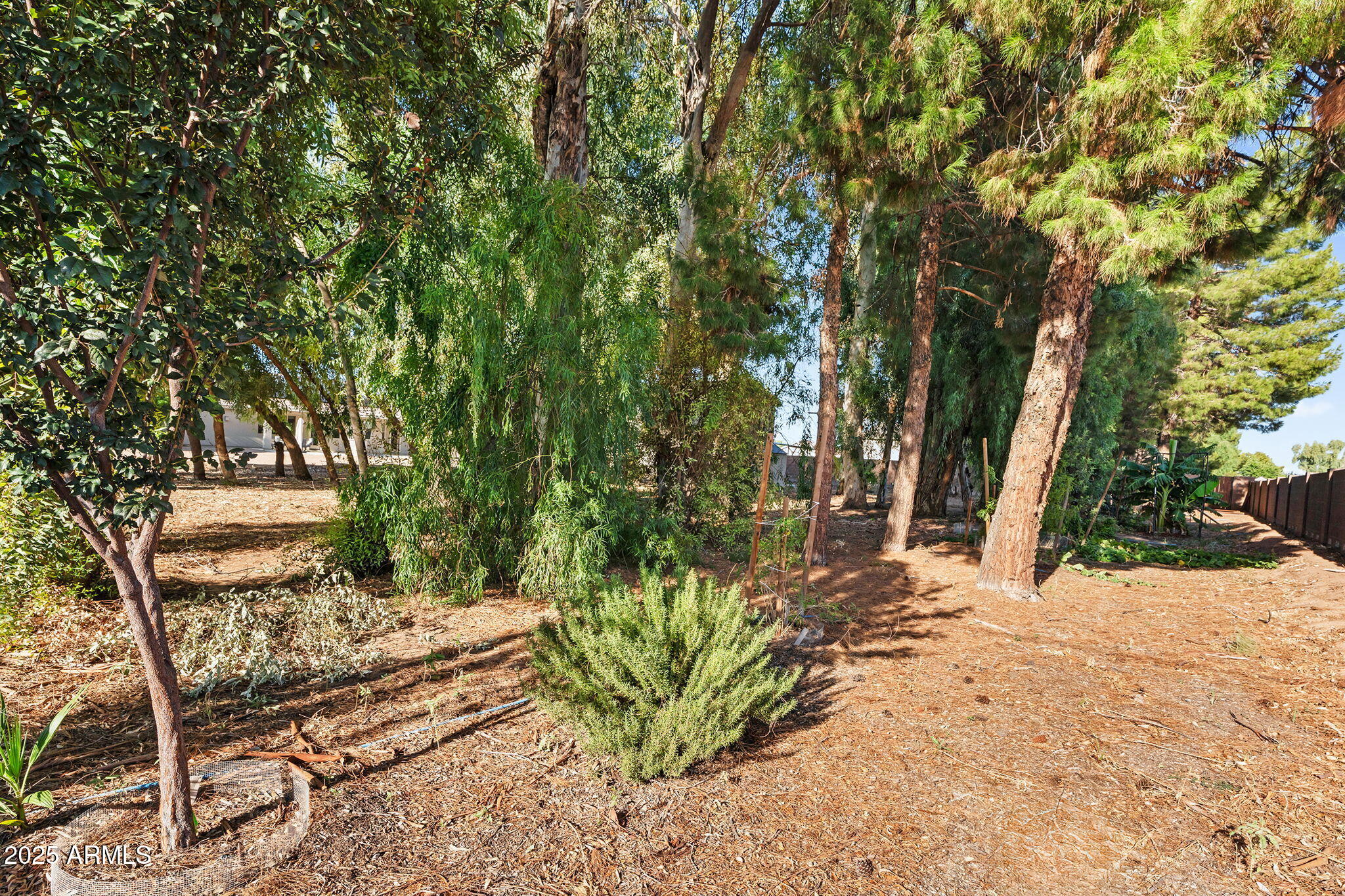 13013 East Brooks Farm Road Gilbert, AZ 85298 - Photo 42 of 74 64-web-or-mls-Brooks-53