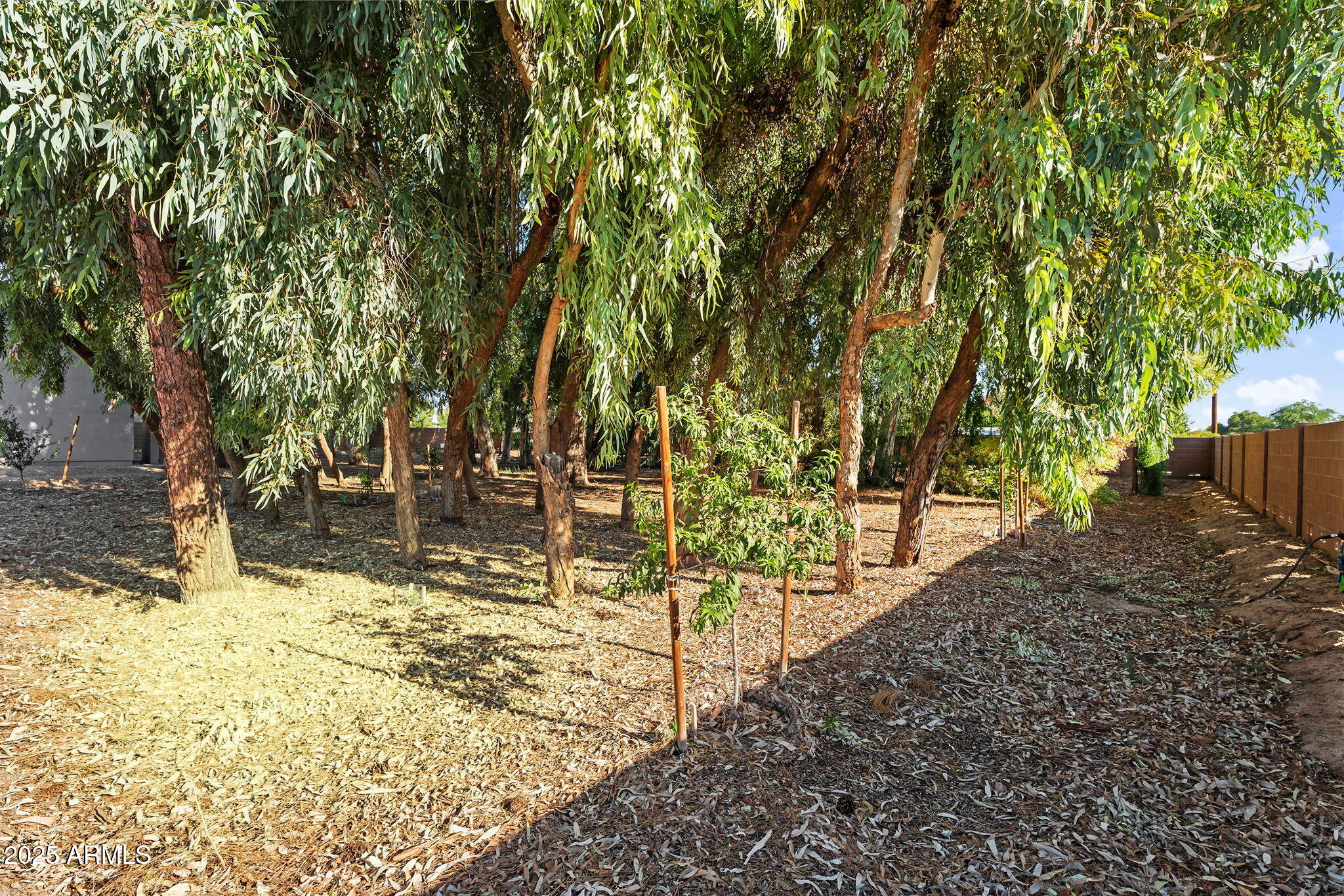 13013 East Brooks Farm Road Gilbert, AZ 85298 - Photo 43 of 74 60-web-or-mls-Brooks-49