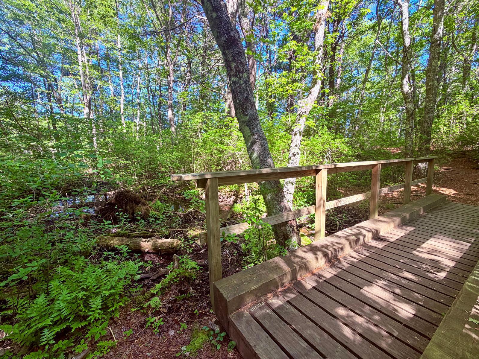 1115 Shootflying Hill Road Centerville, MA 02632 - Photo 30 of 34 Lumbert Pond Trail