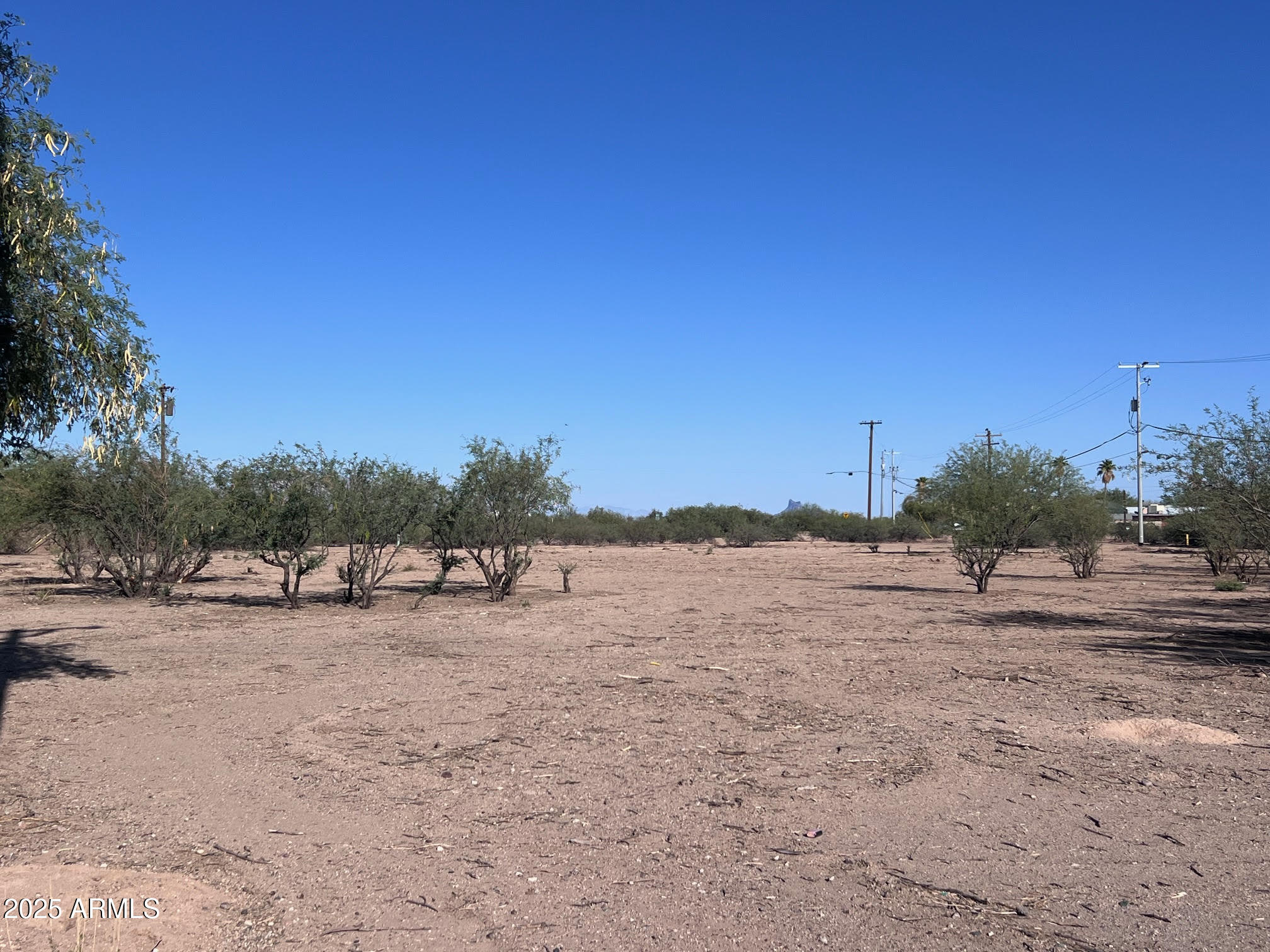 3865 West Shedd Road, Unit 1317 Eloy, AZ 85131 - Photo 2 of 9 a view of dirt road with a building in the background