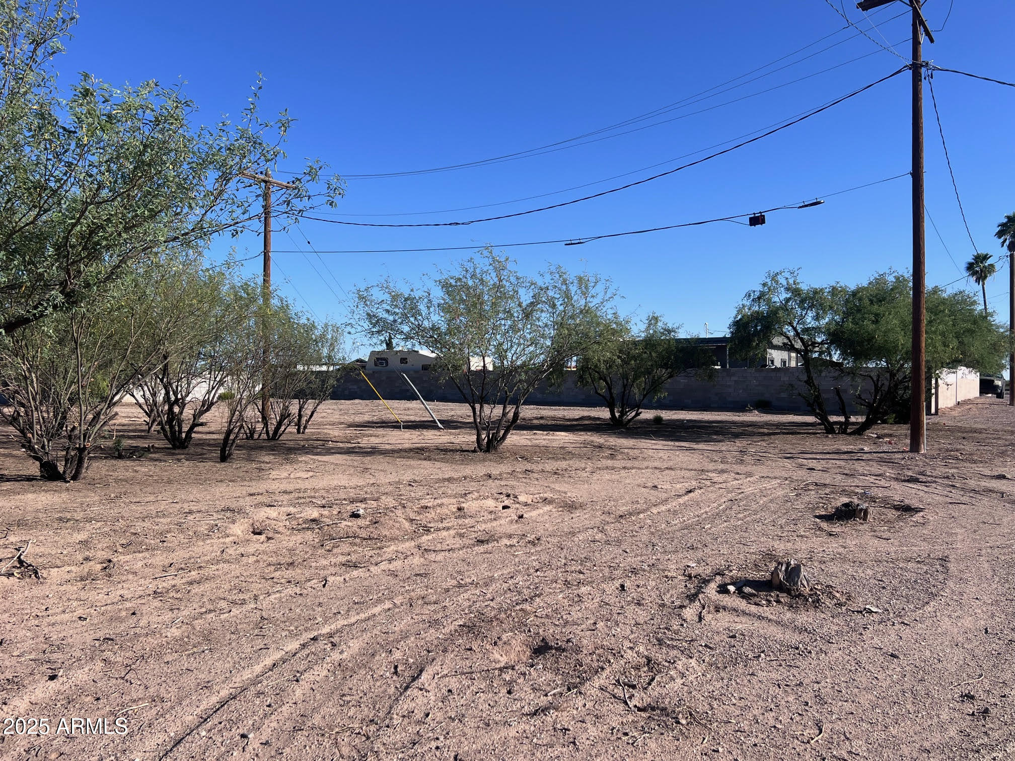 3865 West Shedd Road, Unit 1317 Eloy, AZ 85131 - Photo 4 of 9 a backyard of a house with lots of green space