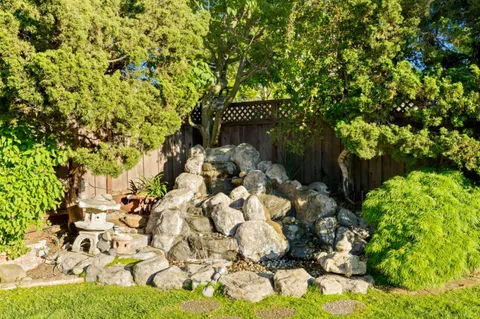 a picture of flowers