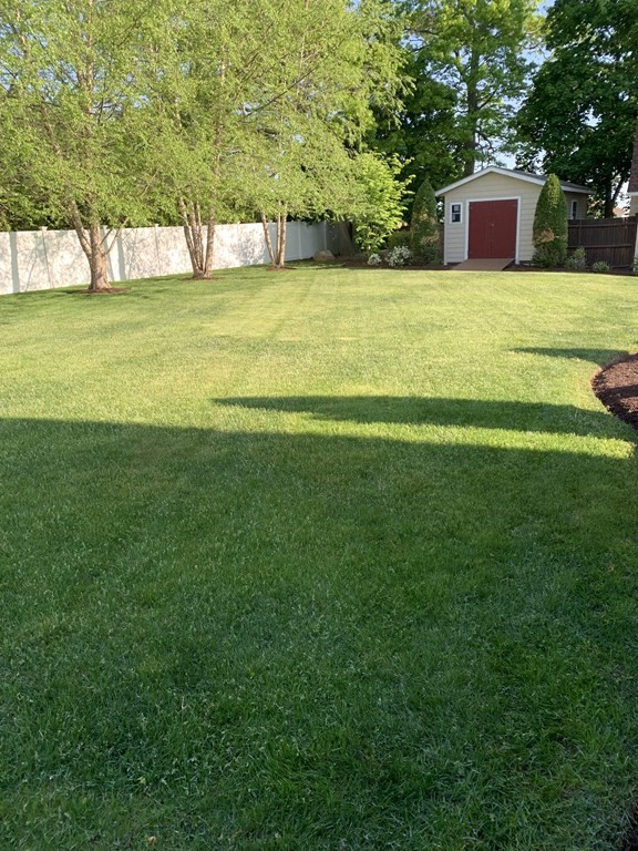 398 Chicago Street Fall River, MA 02721 - Photo 20 of 26 a view of a large trees with a big yard