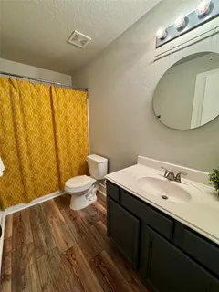 a bathroom with a sink a toilet and mirror