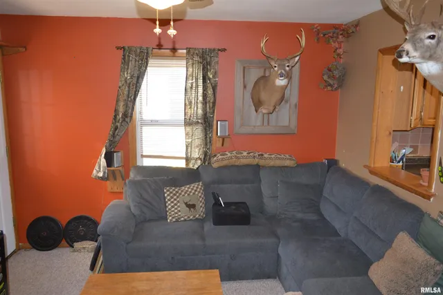 $121,000 | 411 West Greenwood Avenue, Jacksonville, IL 62650