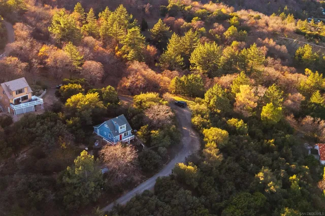 a view of outside tree