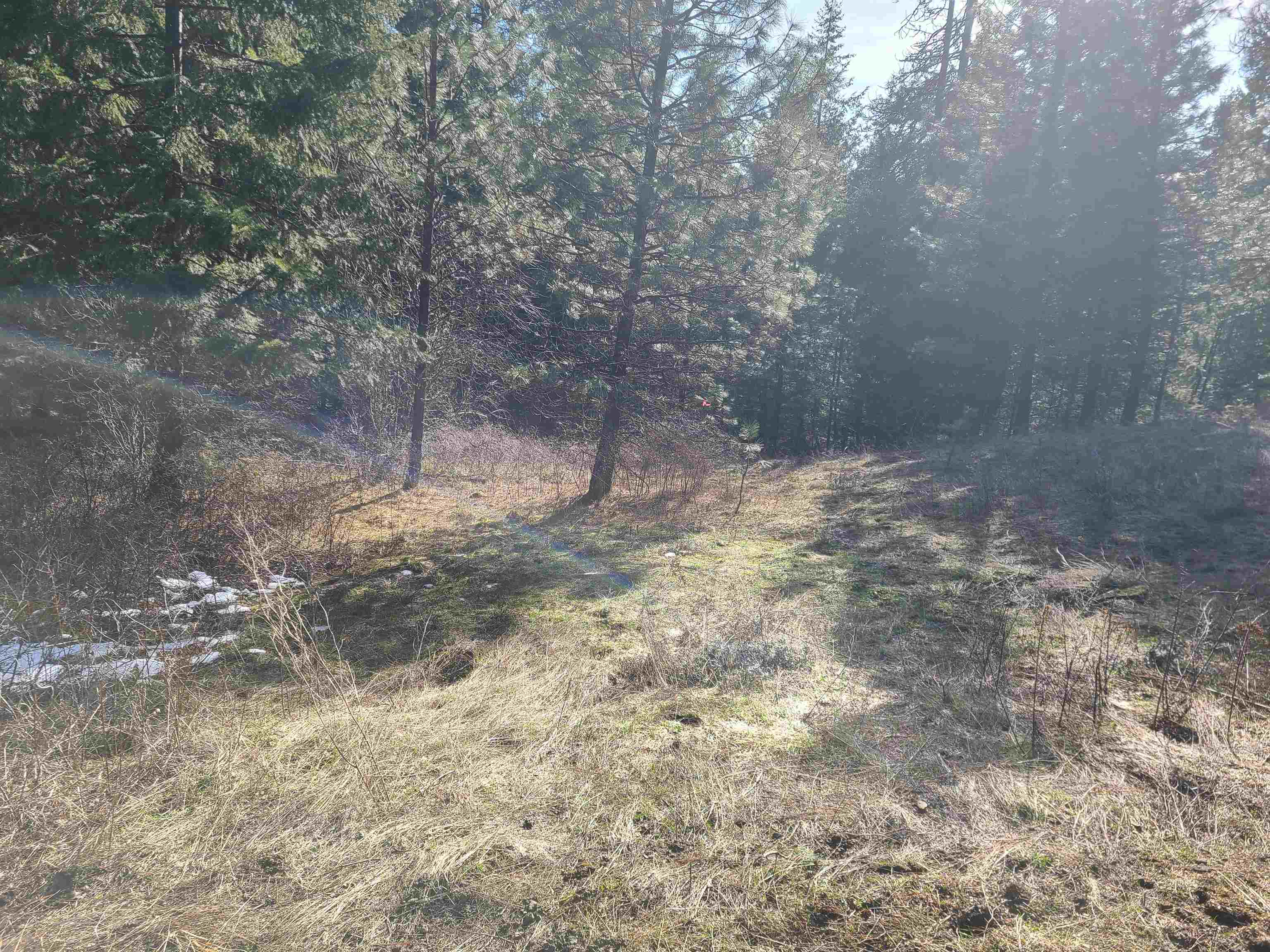 2584 F Bridgeman-Rettinger Road Kettle Falls, WA 99141 - Photo 11 of 21