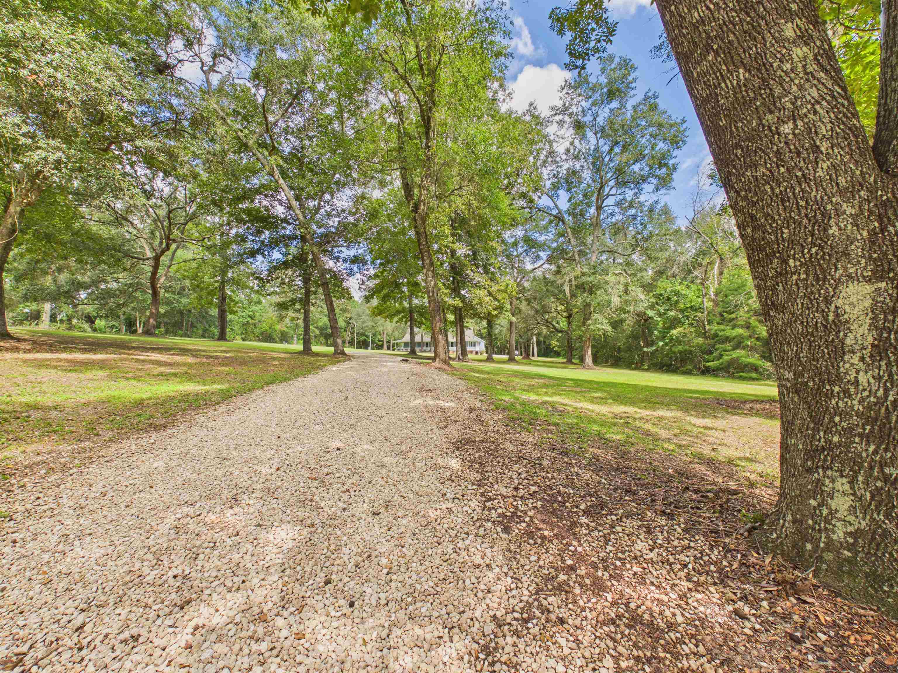 615 Bell Road Havana, FL 32333 - Photo 49 of 65 Gallery Image 49