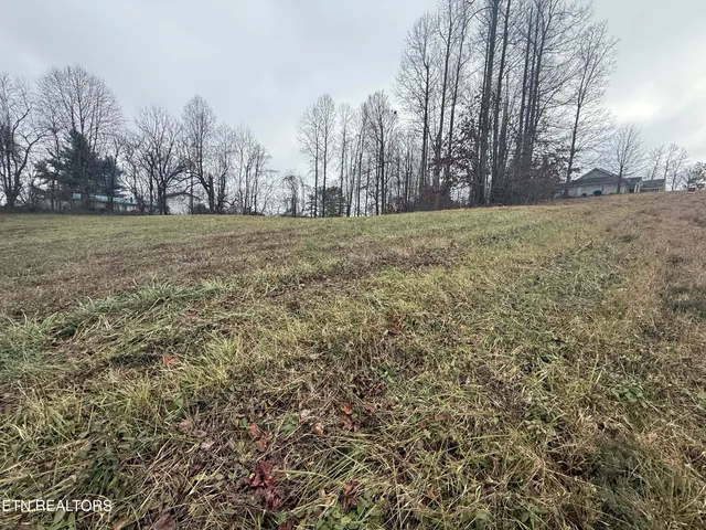 $29,500 | Lot #7 Oak Point Drive, Jonesville, VA 24263